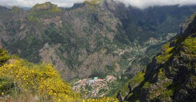 O alerta foi dado aos Bombeiros Voluntários de Câmara de Lobos, pelas 07h30.