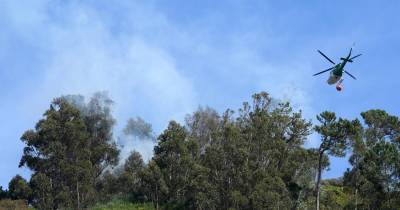 A Junta de Freguesia da Ribeira Brava apela à limpeza de terrenos, “de forma a evitar a deflagração de fogos e a proliferação de pragas urbanas”.