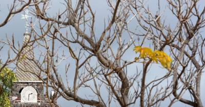 A hora legal voltará a mudar em 27 de outubro, para o regime de inverno.