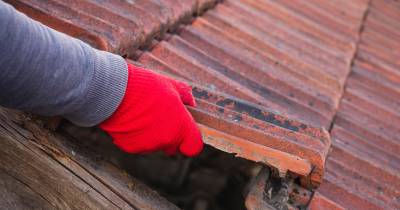 Mau tempo: Homem que caiu quando ia reparar telhado em Pombal morreu no hospital