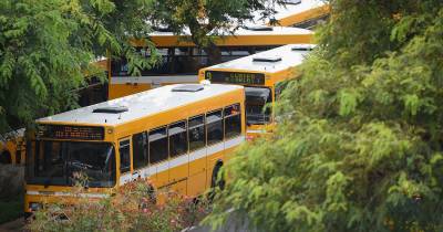 Greve: Horários do Funchal nos serviços mínimos