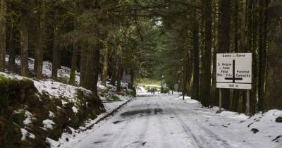 Proteção Civil atualiza medidas preventivas face à Depressão Regina