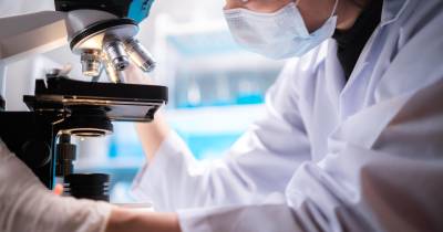 Ao invés desses anticorpos, a nanopartícula agora desenvolvida é de fácil produção, adapta-se a vários tipos de cancro e tem uma vida útil mais longa no organismo.