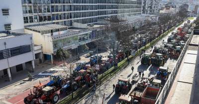 Agricultores: Ministra da Agricultura reúne-se com manifestantes por videoconferência em Alcochete