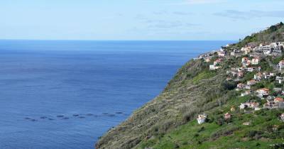 Um homem de 36 anos morreu após ser esfaqueado esta madrugada.