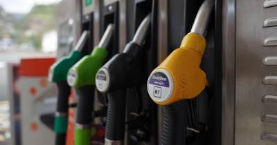 Os dados são referentes a 2025.