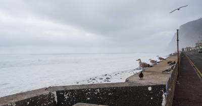 Agitação marítima forte leva Capitania do Porto do Funchal a lançar ‘alertas’ à população