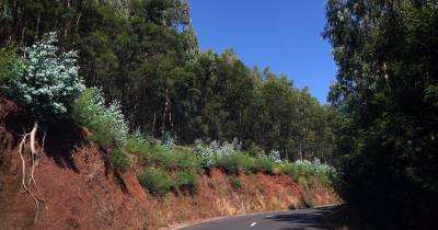 Vítima terá caído numa vereda no sítio do Ribeiro Serrão.