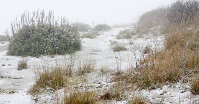 Neve poderá estar de volta nas próximas horas