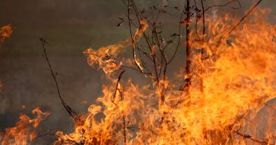 Incêndio em mato mobiliza bombeiros de Câmara de Lobos
