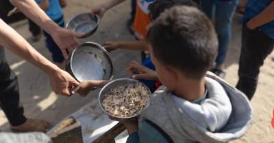 Organização humanitária que combate a fome em Gaza perdeu sete voluntários de diferentes países.