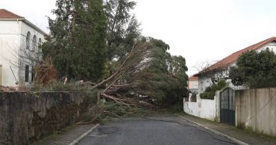 Destruição causada pela depressão Kristin, em Cernache do Bonjardim, Castelo Branco