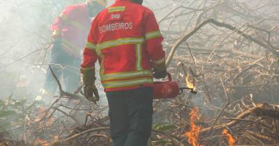 Madeira representada em todas as Comissões Técnicas de Formação da Escola Nacional de Bombeiros