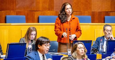 PS propõe criação da Reserva Agrícola da Madeira para proteger solos produtivos