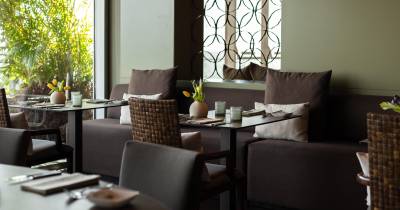 Fado no Alambique: novembro com sabor e tradição no Saccharum