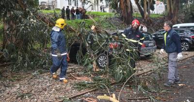 Elementos dos bombeiros cortam o tronco de uma árvore que caiu sobre quatro viaturas estacionadas na via pública foram atingidas, nas Caldas da Rainha.