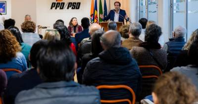 PSD Madeira entrou na reta final da campanha interna, com eleições agendadas para esta quinta-feira
