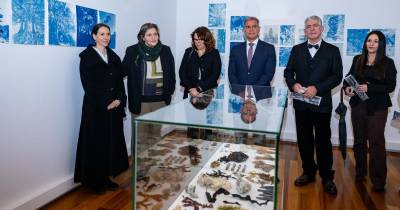 ‘A Semente dos Olhos’ abriu na Galeria dos Prazeres