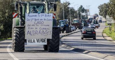 Agricultores do Baixo Mondego conduzem as suas máquinas agrícolas em direção a Coimbra, durante a manifestação dos agricultores, uma ação realizada nas estradas de várias zonas do país, reclamando “condições justas” e a “valorização da atividade”, em Montemor-o-Velho, 01 de fevereiro de 2024. O protesto está a juntar agricultores de toda a Beira Interior. A iniciativa é do Movimento Civil Agricultores de Portugal, que se apresenta como um movimento civil espontâneo e apartidário que une agricultores e sociedade civil em defesa do setor primário. Em causa estão os cortes nos pagamentos aos agricultores no âmbito do Plano Estratégico da Política Agrícola Comum (PEPAC). PAULO NOVAIS/LUSA