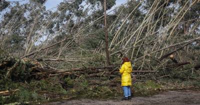 “Entre as 00:00 e as 08:00 foram registadas 263 ocorrências, das 135 quedas de árvores, 58 inundações, 41 quedas de estruturas, 18 movimentos de massa e 10 limpezas de via”, adiantou à Lusa Telmo Ferreira, da ANEPC.