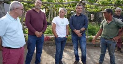 JPP denuncia falhas na proteção dos apicultores