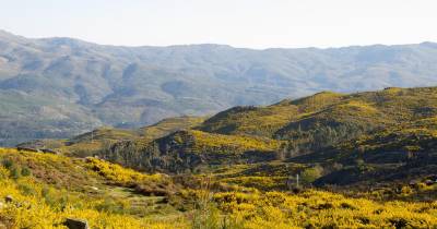Incêndios: Mais de 100 operacionais combatem fogo no Parque Nacional da Peneda-Gerês