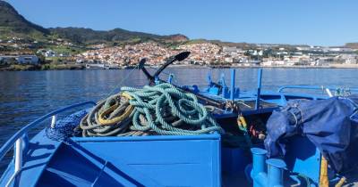 Transporte marítimo de mercadorias: Descarga de mercadorias cresceu em 2024