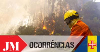 Incêndio rural mobiliza três corporações de bombeiros para o Estreito da Calheta