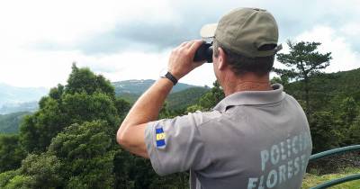 O expediente contraordenacional segue agora os seus trâmites processuais.