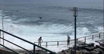 Mar agitado não afasta turistas imprudentes no Jardim do Mar (com vídeo)