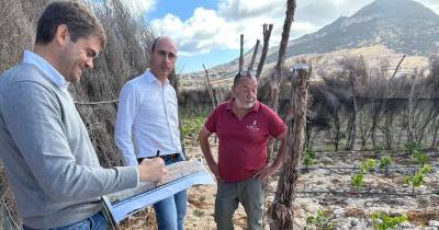 IVBAM em visita técnica a viticultores do Porto Santo