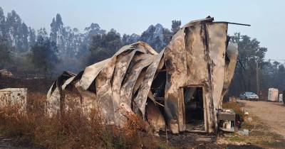 Incêndios: Produção agrícola na Lousã destruída, proprietários pedem ajuda