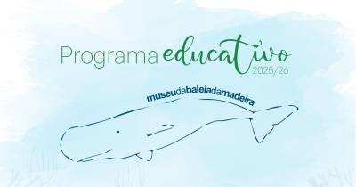 Museu da Baleia disponibiliza o programa educativo e lança Projeto BaleiArte