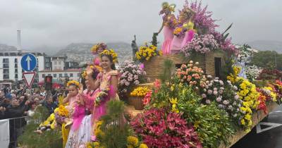 Veja como foi o primeiro cortejo da Festa da Flor (com fotos)