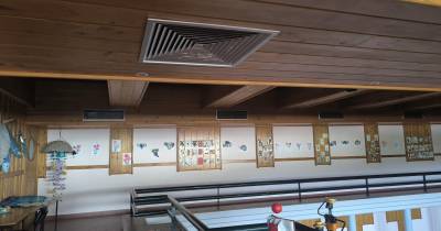 Projeto europeu EcoArt promove consciência ambiental através da arte jovem