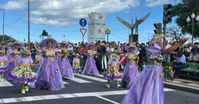 Festa da Flor: Roxo predomina no tema ‘Florescer da Autonomia’ (com fotos)