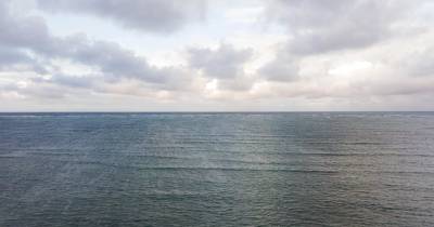 Tratado do Alto Mar é “marco histórico” para o oceano - UICN