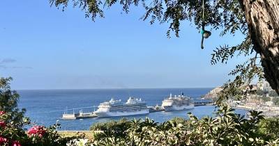 Cruzeiro Vista traz mil passageiros para passar o domingo na Madeira