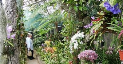 O Jardim Orquídea da família Pregetter esteve em funcionamento no Bom Sucesso até 2016.