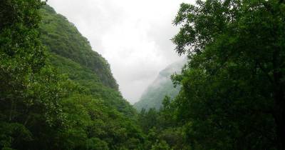 Quercus Madeira critica programas para sítios da Rede Natura e admite avançar com queixas