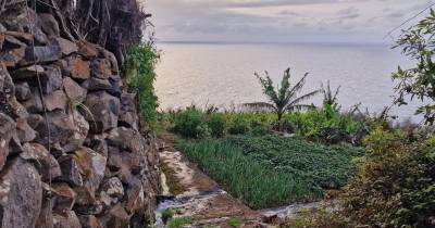 Caminho Real e Confraria Enogastronómica da Madeira associam-se para proporcionar caminhada gastronómica