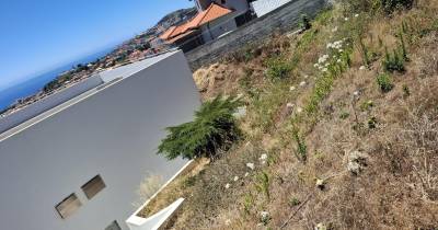 Luís Filipe Santos alerta para elevado risco de incêndio em terrenos no Imaculado