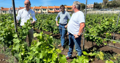 IVBAM visita segundo maior produtor de Terrantez na costa sul da Madeira