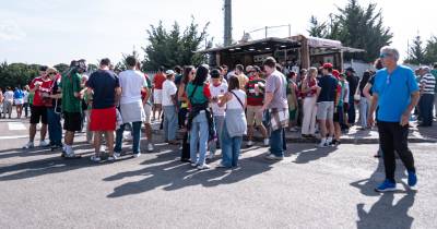 Centenas de verde-rubros marcam presença no Seixal
