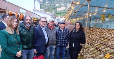 Exposição da Anona decorre até este domingo, no Faial.