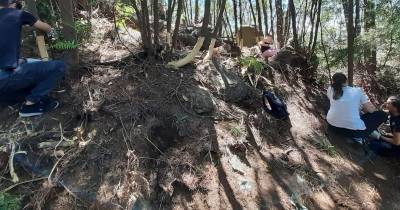 O Núcleo Regional da Quercus da Madeira, em parceria com o Clube de Ecologia Barbusano, da Escola Secundária de Francisco Franco e o Parque Ecológico do Funchal levaram a cabo uma ação de controle de invasoras, para prevenir fogos florestais.