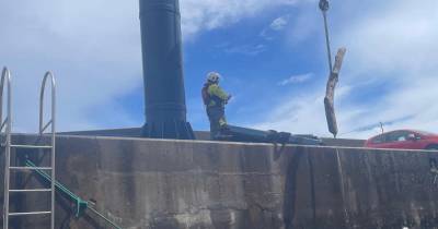 SANAS remove detritos perigosos no Porto de Abrigo do Porto Moniz