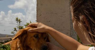 ”“É necessário haver uma maior fiscalização destas atividades, para garantir que cumprem as normas em vigor e que salvaguarda o bem-estar dos animais”, defende Mónica Freitas.