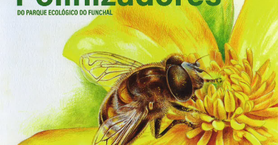Docente e Investigador da UMa participam em Guias de Polinizadores