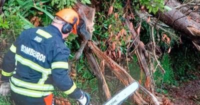 ‘Francis’ provoca uma dezena de ocorrências na Madeira